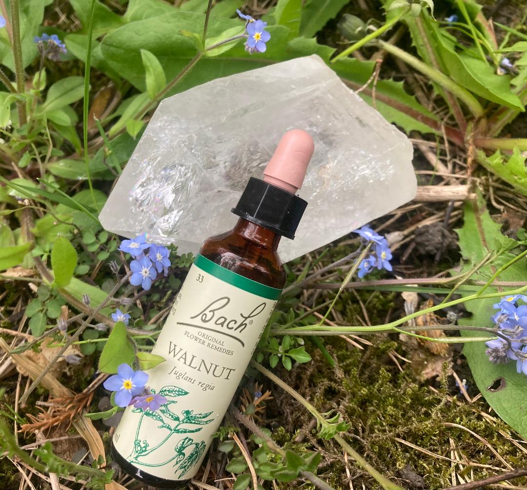 Flower Essence Therapy Signature - Consultation and Essences Posted